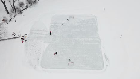 aerial, family playing ice hockey in backyard homemade hockey rink