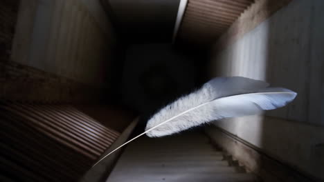 white feather falling down a dark staircase