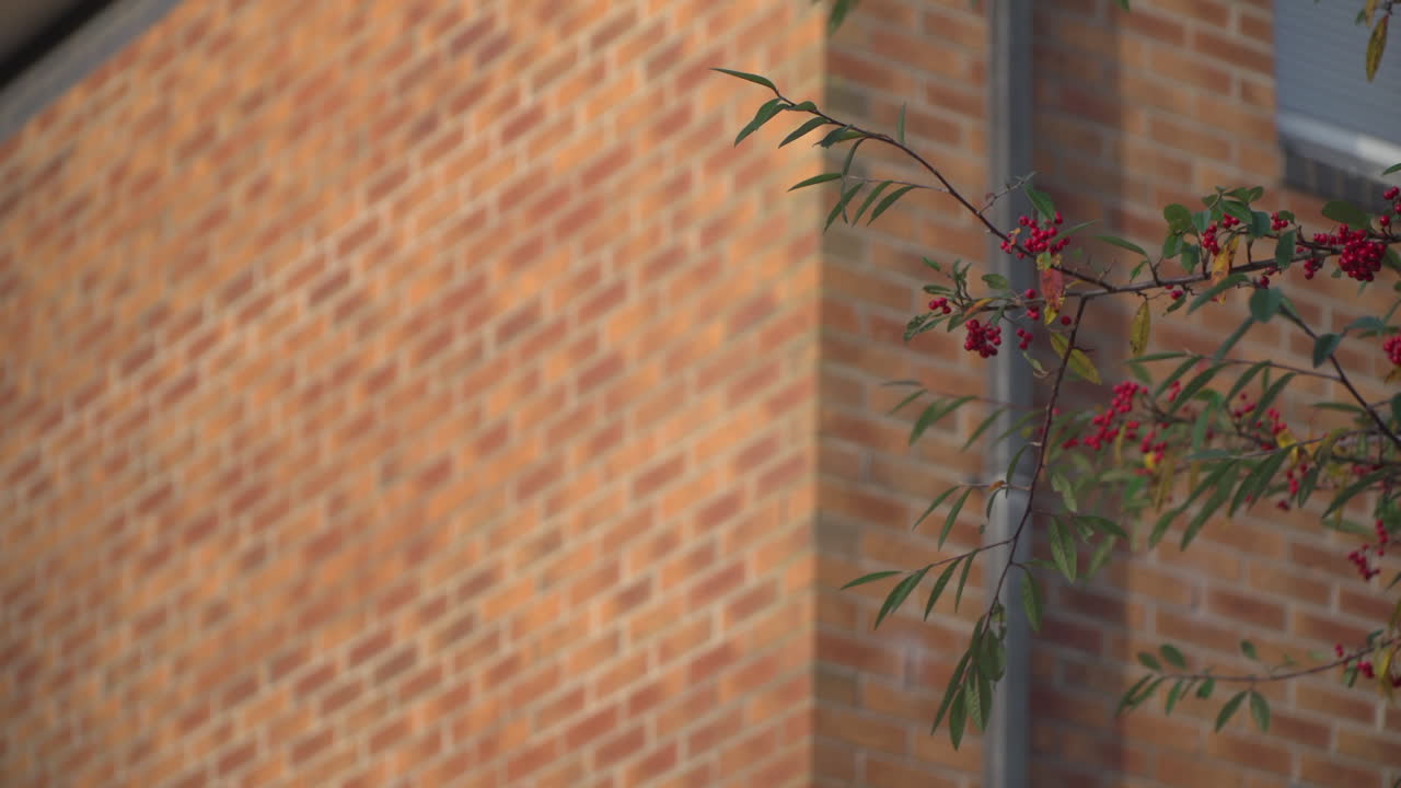 Empty Dorm Room Student, Hostel, Asylum seeker's Accommodation