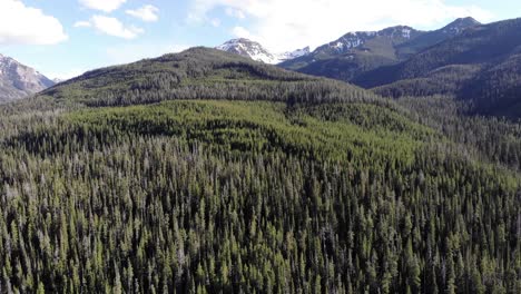 Un-Dron-De-Alto-Vuelo-Disparó-Sobre-Bosques-De-Pinos-Y-Picos-Montañosos-Nevados