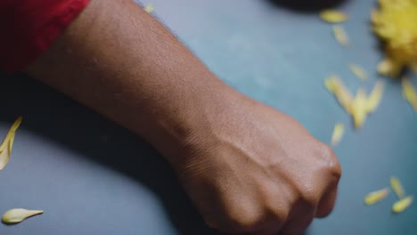 la hermana ata el rakhi en el hermano para el raksha bandhan, en cámara lenta