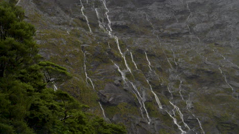 Panorámica-En-Cámara-Lenta,-Nueva-Zelanda