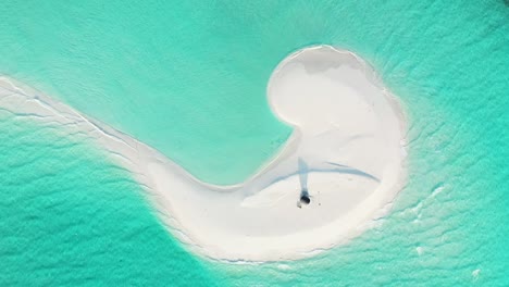 private sandbar maldives beach aerial