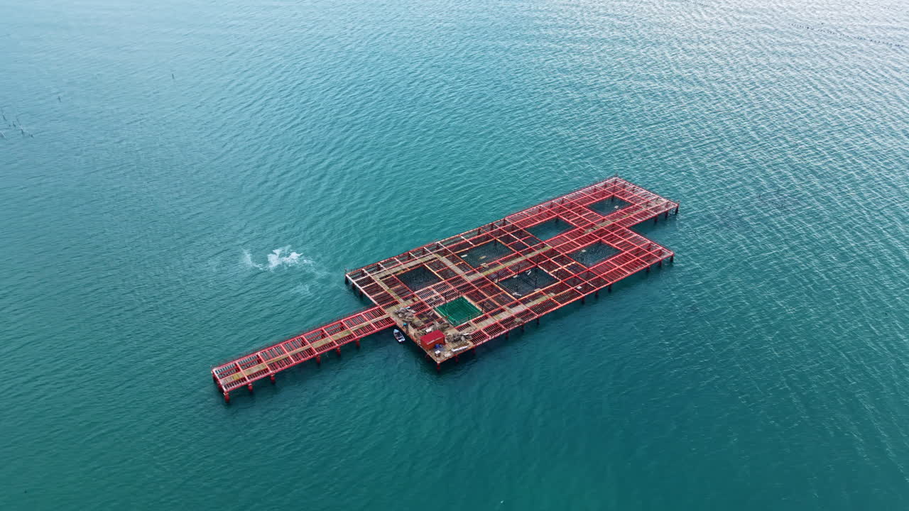 Mussel farm setup in the open sea showing structures floating on water during daylight hours