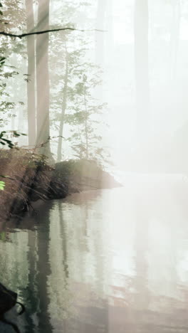 escena de un río de bosque brumoso