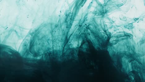 dark green ink dissipating in water on a white background