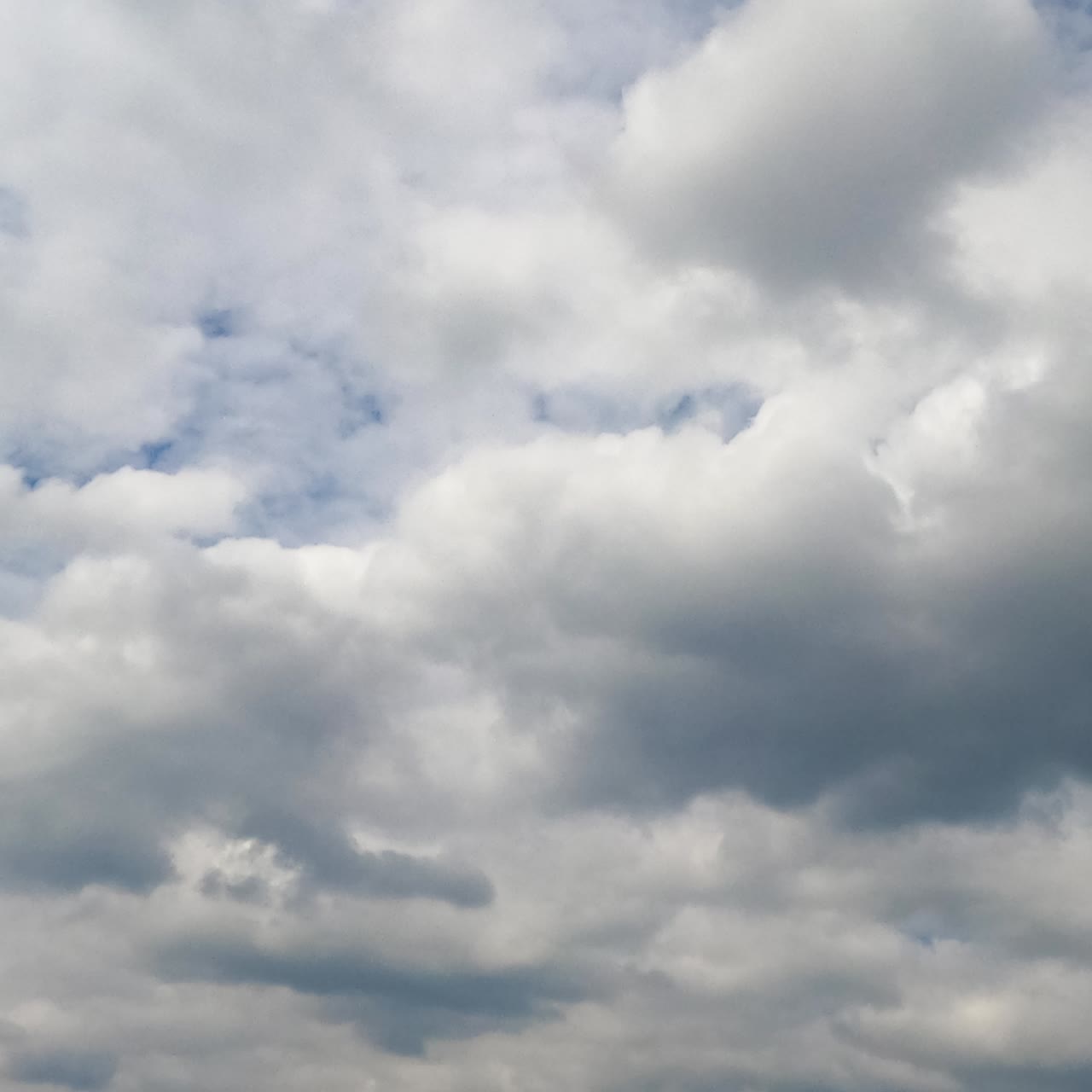 Soft fluffy clouds covering the sky. Cloudscape formation in the atmosphere at daytime. Low angle view. Timelapse