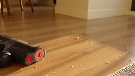 vacuuming a wooden floor