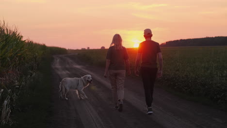 couple and dog enjoying a sunset stroll