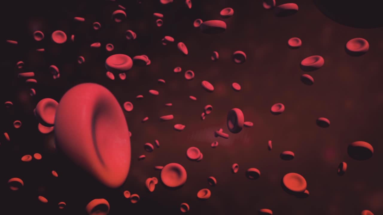 las células rojas de la sangre