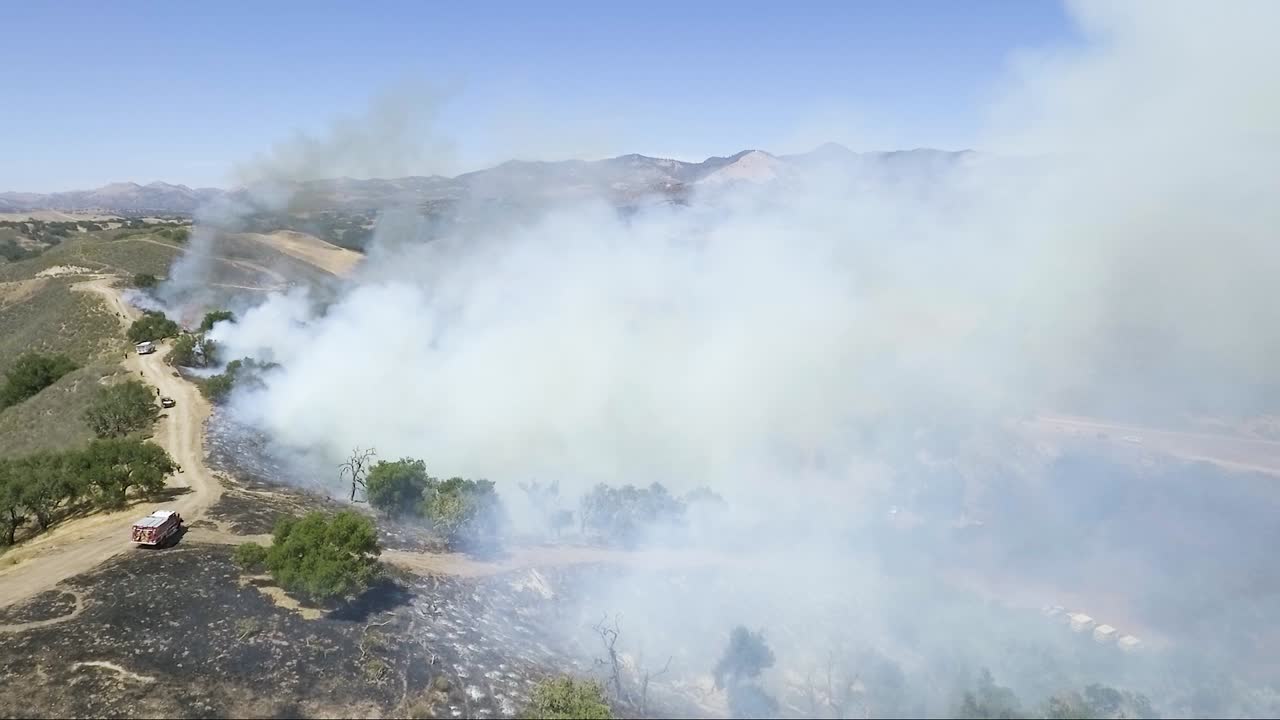 연기를 통해 산불에서 배출되는 탄소
