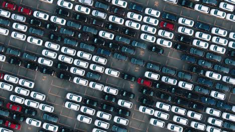 movimiento redondo por encima de los coches terminados en el almacén vista de pájaro