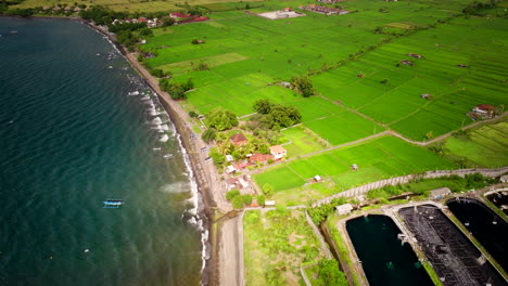 Incoming-waves,-lush-green-landscape,-topical-island-environment,-aerial