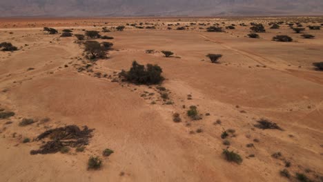 paso elevado con pan hacia arriba explorando el vasto desierto seco dentro del parque nacional hai bar y sus alrededores