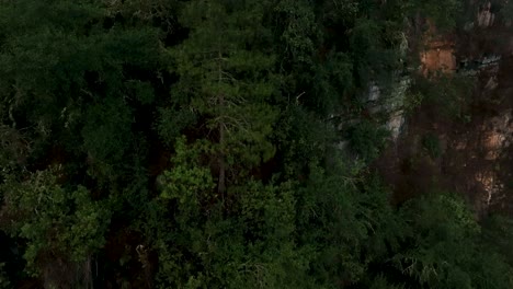 Aerial-fly-drone-view-above-mountain-forest-with-morning-mist