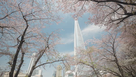 Vista-De-La-Torre-Lotte-World-A-Través-De-Las-Ramas-De-Los-Cerezos-Rosados-En-Flor-En-El-Parque-Songpa-Naru---Dolly-Revela