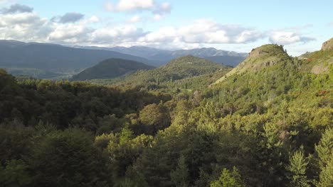 Nature's-wonderland-evergreen-temperate-forest-Patagonia-Forest