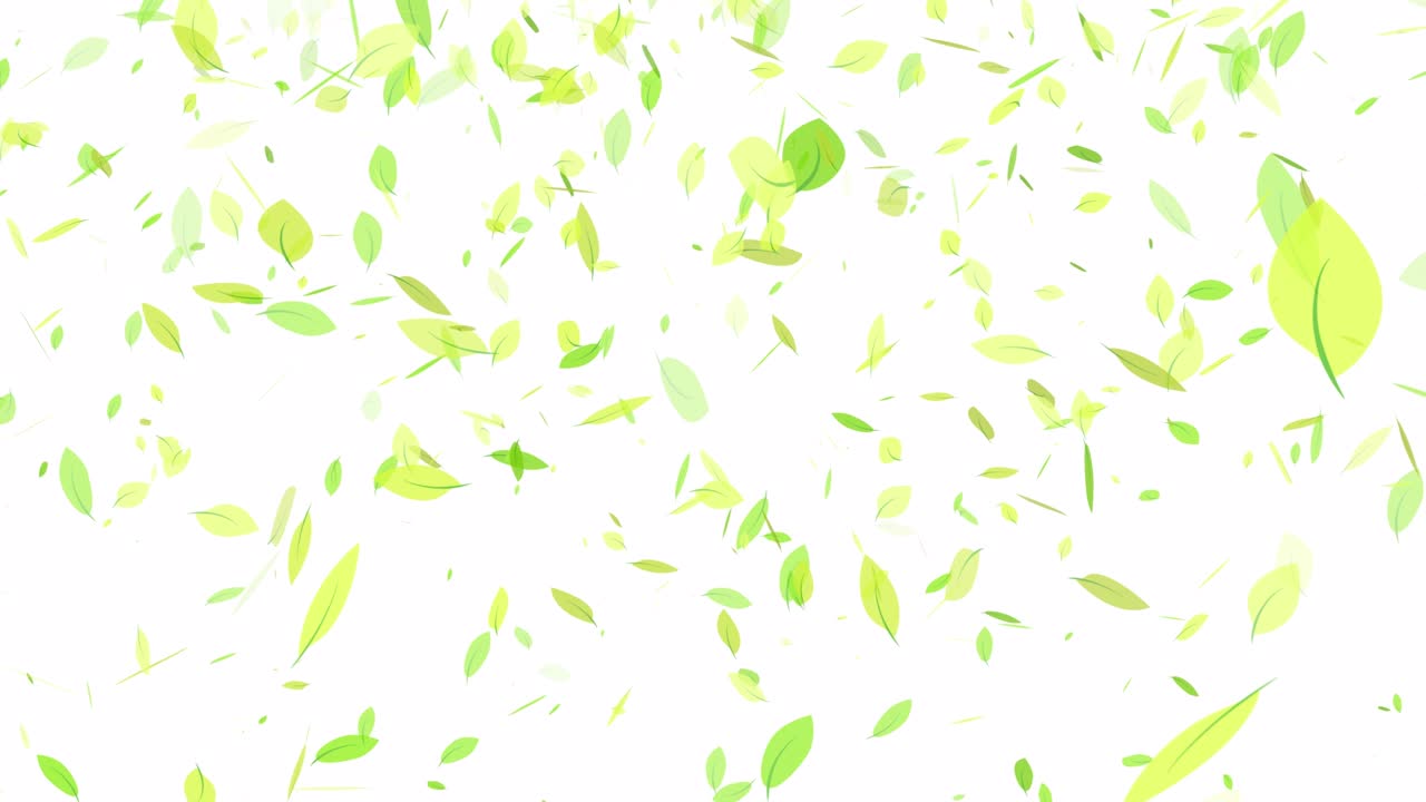 animación de hojas que caen desde arriba (fondo transparente)