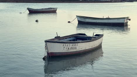 static view of moored fishing boats swaying with the roll. daylight