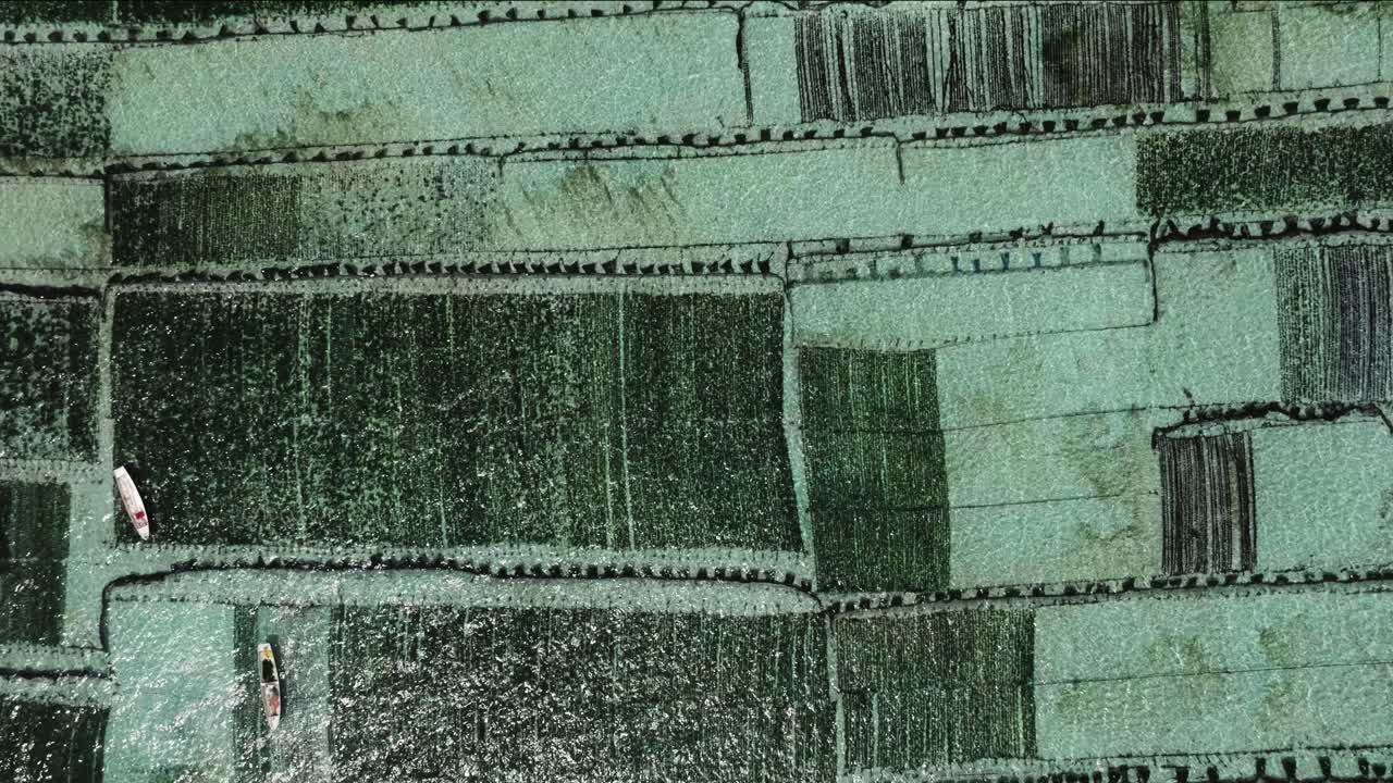 Aerial View of Seaweed Farm