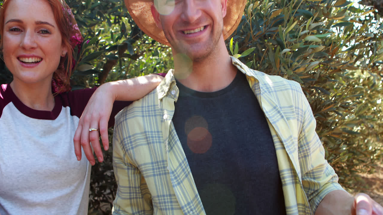 pareja feliz retirando aceitunas de la caja en una granja de aceitunas