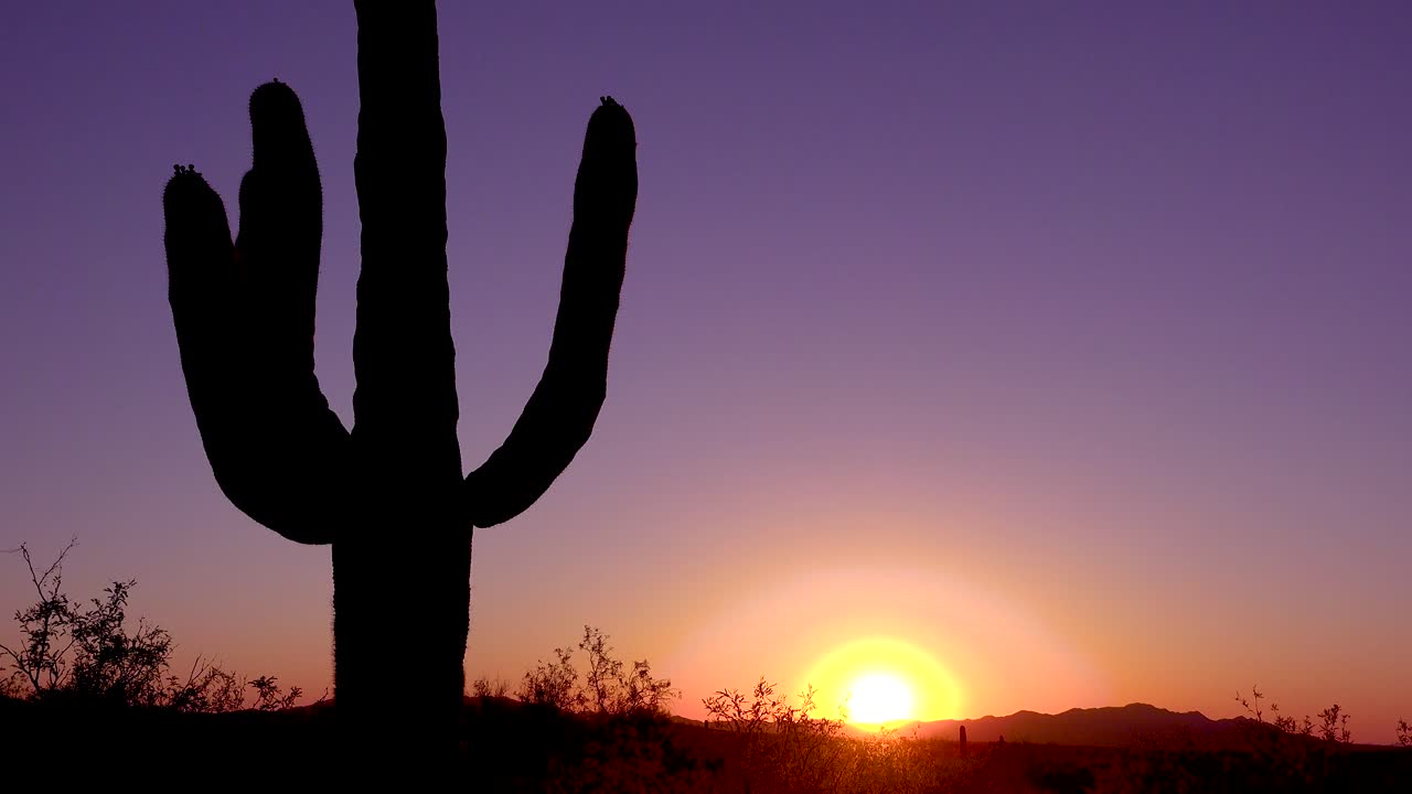un hermoso atardecer o amanecer detrás de un cactus en el parque nacional saguaro captura perfectamente el desierto de arizona 2