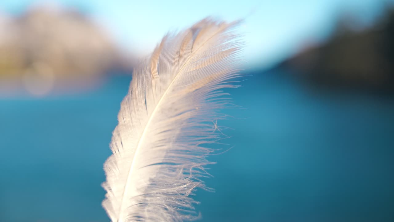 Close up of white feather with Walensee lake in Switzerland in background