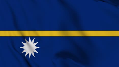 nauru flag seamless waving animation