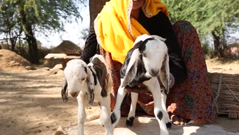woman holding two baby goats