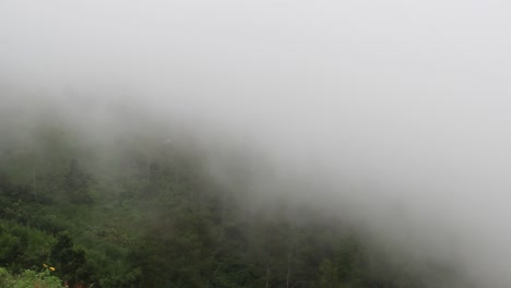 阿爾朱諾山頂的全景美景 霧<unk>密集