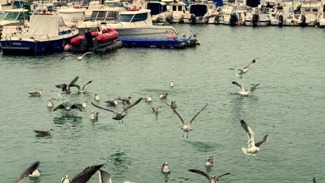 Bandada-De-Gaviotas-Volando-Con-Gracia-Sobre-La-Superficie-Del-Agua-En-Un-Entorno-Marítimo,-Pequeños-Barcos-De-Pesca