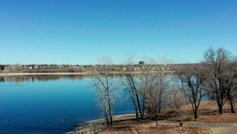 Aerial-shot-of-a-nice-blue-pond-full-of-Canadian-Geese