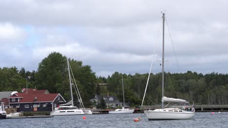 Viele-Segelboote-Liegen-In-Der-Nähe-Der-Stadt