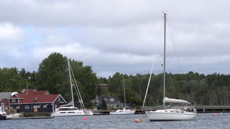 a lot of sailboats are near the town