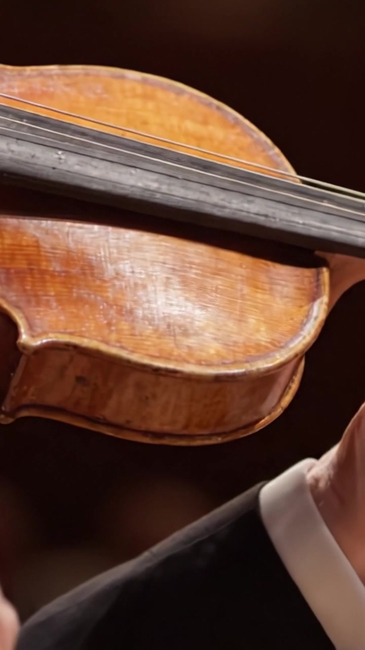 A Classical Performance: The Intimate Connection Between Musician and Violin Captured in a Stunning Sequence of Hand Movements and Instrument Detailing