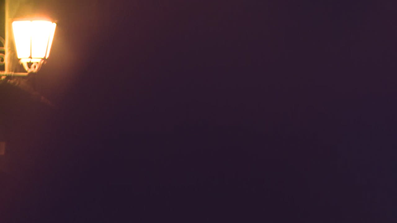 Purple Solid Color Background