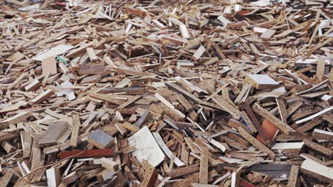 garbage dump. miscellaneous scraps of wood slabs. furniture production waste. environmental pollution