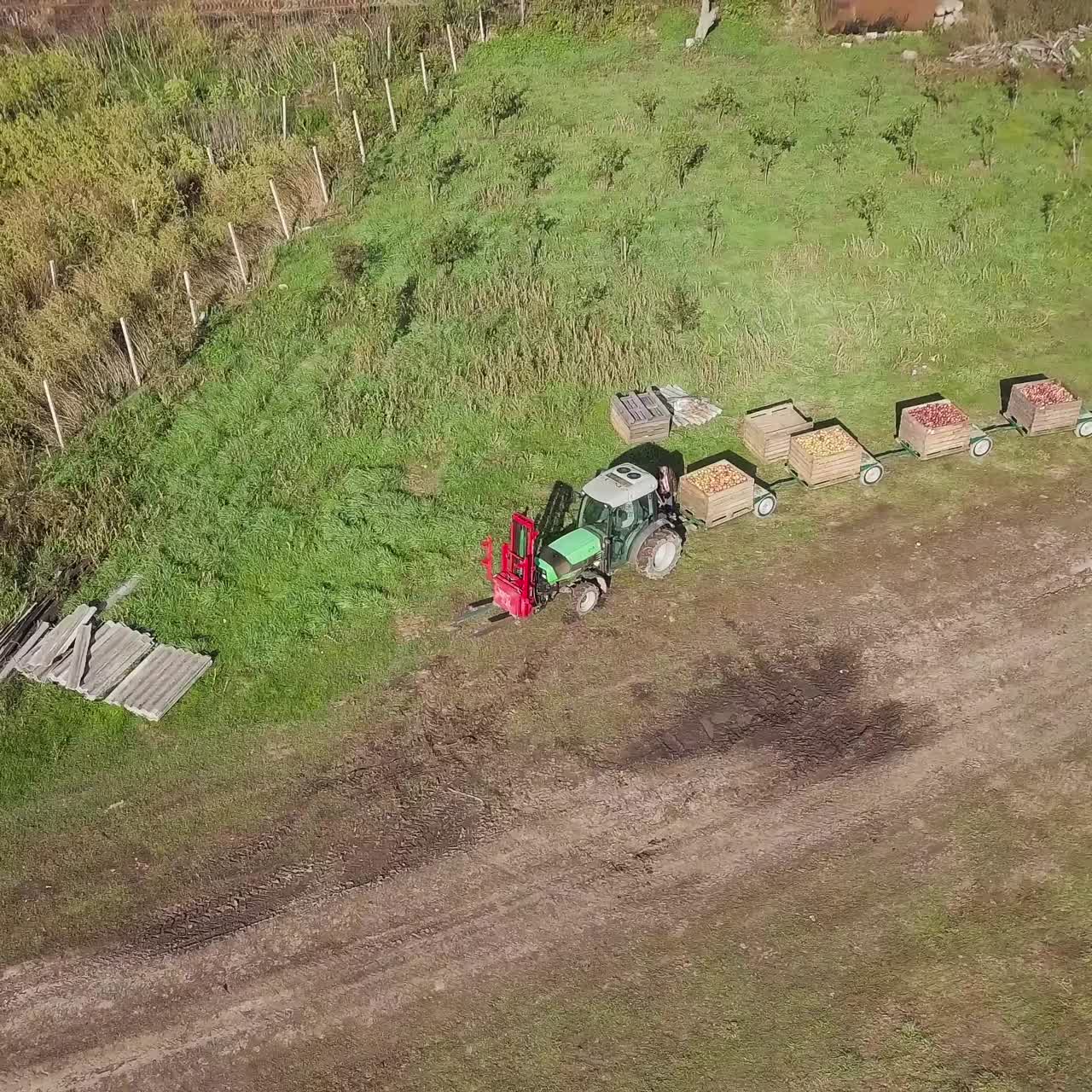 Apple farmland with tractor