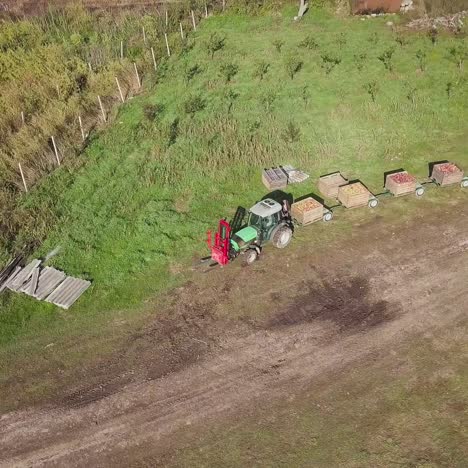 apple farmland with tractor