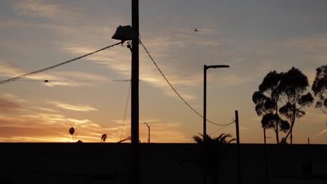 Plane-Flies-Into-the-Sunset-Distance,-Slow-Motion-Past-Telephone-Wires-and-Trees