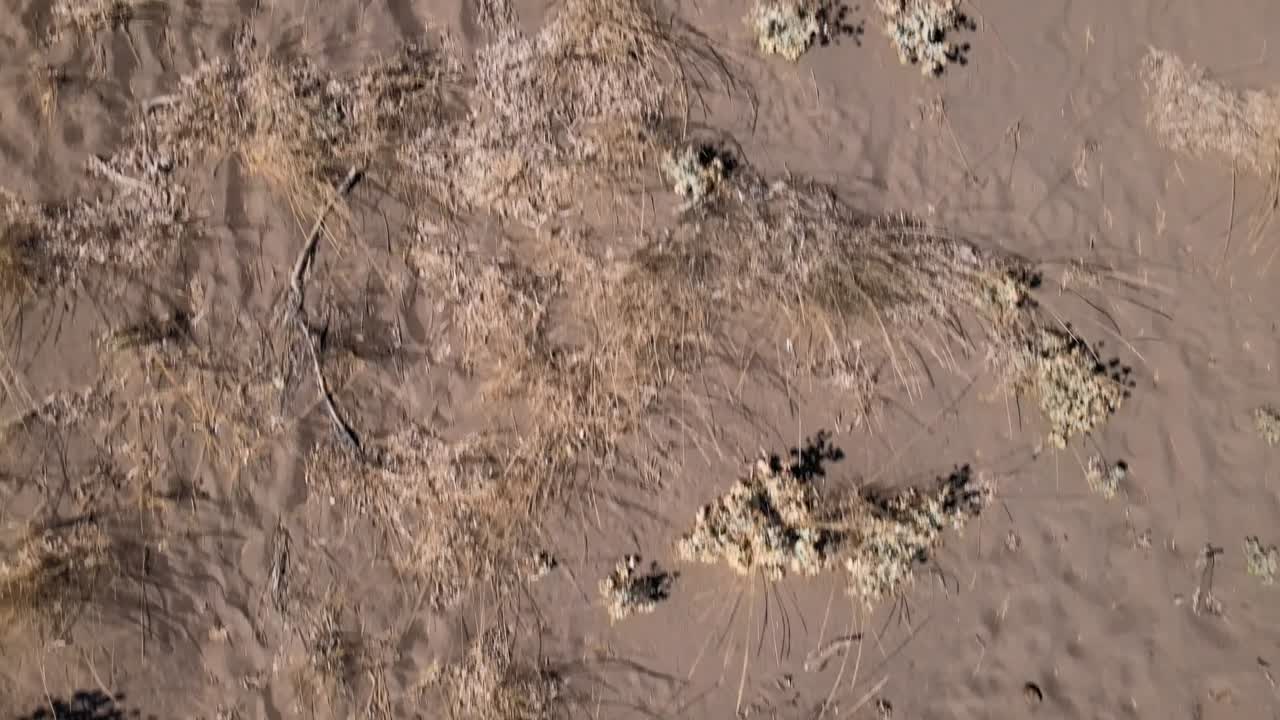 낮은 고도에서 드론으로 촬영한 해변의 짧은 탑다운 영상