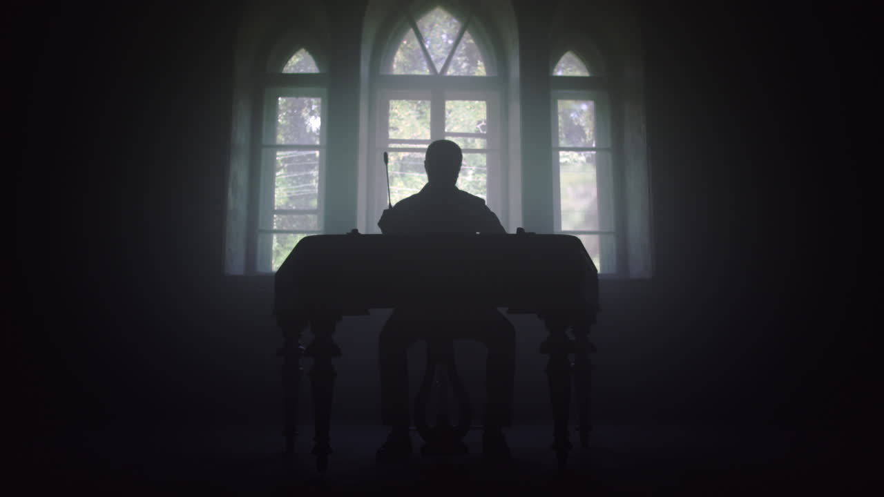 음악 연주자 실루 ⁇ . 악기 연주.  ⁇ 발롬 음악 연주