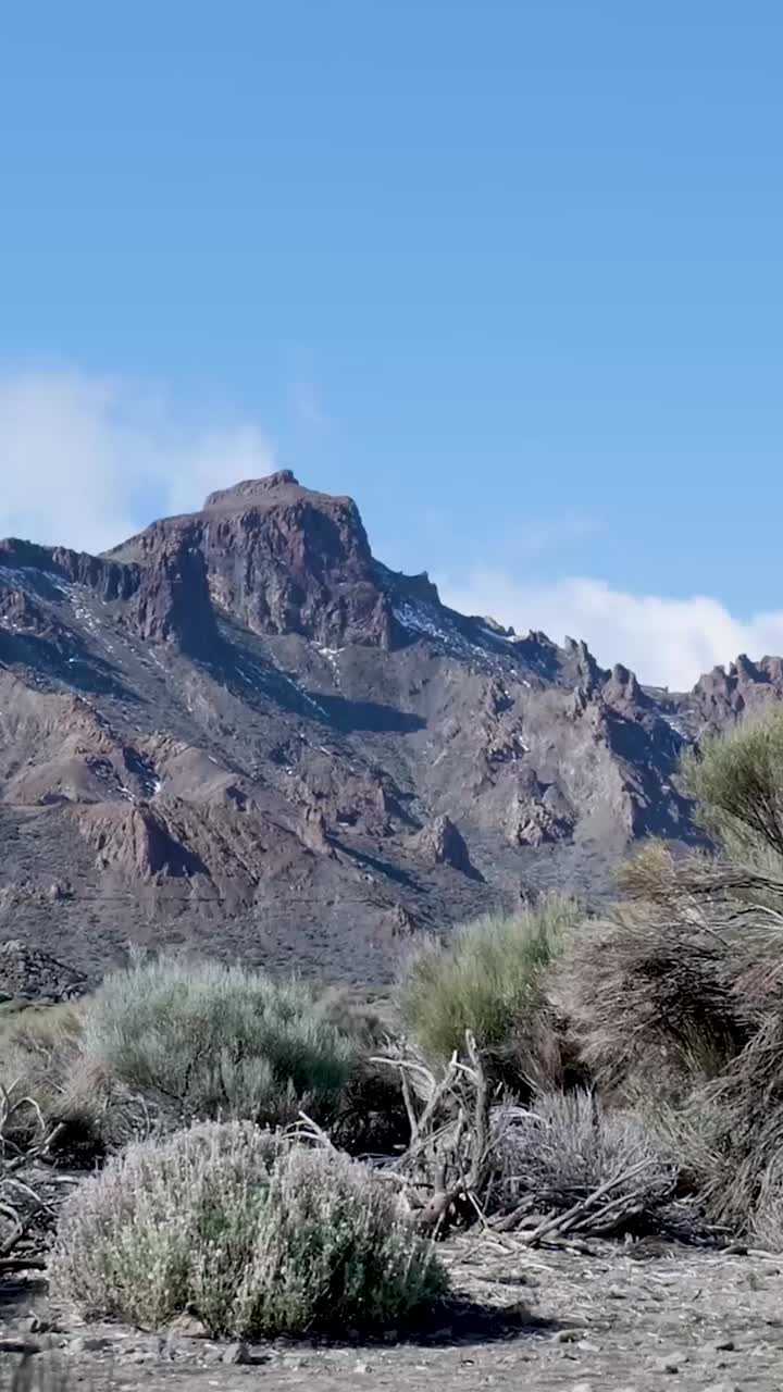 Panoramica verticale suggestiva di montagna rocciosa e arbusti aridi