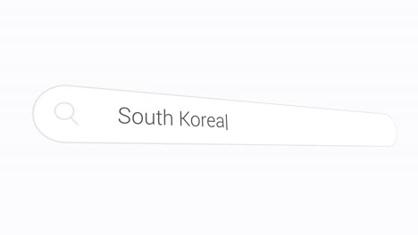 typing south korea in search box - internet browsing