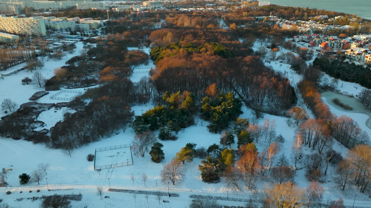 따뜻한 빛이 나무 꼭대기를 키스하는 황혼에 눈 인 공원의 공중 풍경