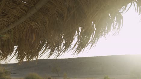 Techo-De-Dosel-De-Palmera-Que-Sopla-En-El-Viento-Bajo-El-Sol-Del-Desierto