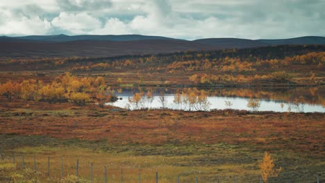 a small lake on the arctic circle plateau surrounded by an autumn landscape
