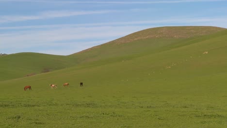 green fields roll to the horizon against a deep blue sky with horses grazing in the distance