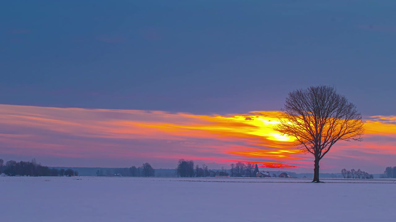 Uma noite de inverno, ventosa e congelante, Uma bela cena de outono apresentando uma árvore. O brilho alaranjado do pôr do sol cria uma cena inesquecível
