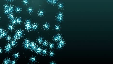 volando muchas células de virus en fondo negro. concepto médico, ilustración microscópica. animación 3d de la molécula de virus girando. animación de bucle.